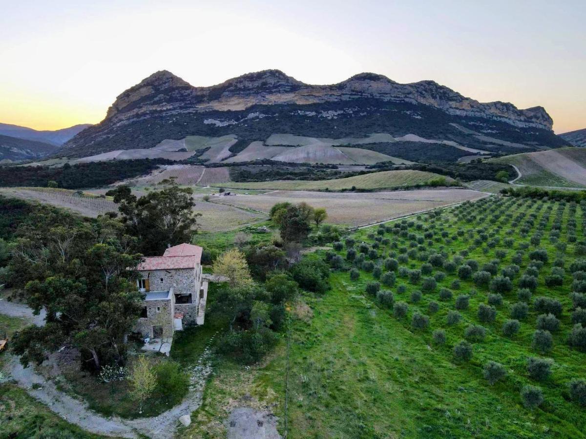 Отель Mulinu Biancu Poggio-d'Oletta Экстерьер фото